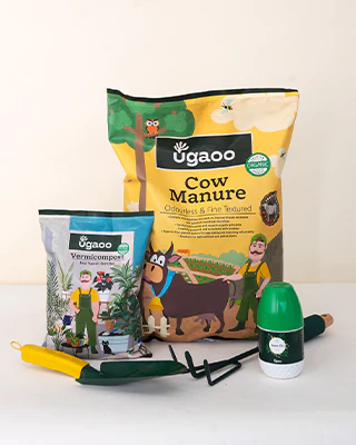 Plant Care